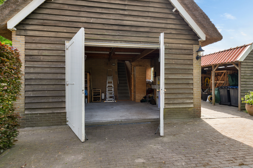 Foto 61 1000w