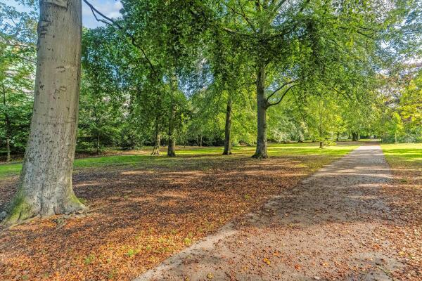 photo 54 Van Soutelandelaan 7